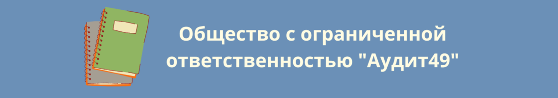 Общество с ограниченной ответственностью «Аудит49»